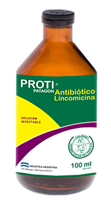 Protipatagon Magnesio