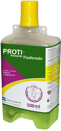 Protipatagon Magnesio