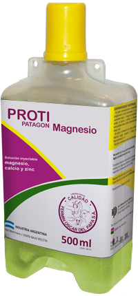 Protipatagon Magnesio